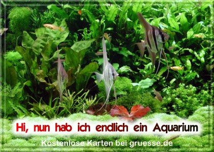grusskarte-diverses-aquarianer-q_006