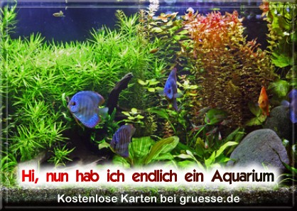 grusskarte-diverses-aquarianer-q_007
