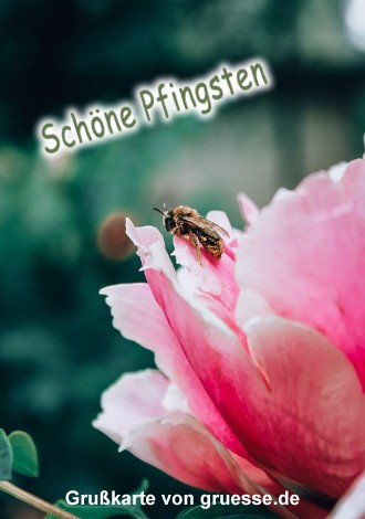 grusskarte-festtage-pfingsten-standard_004