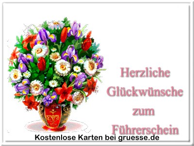 grusskarte-glueckwuensche-fuehrerschein-q_005