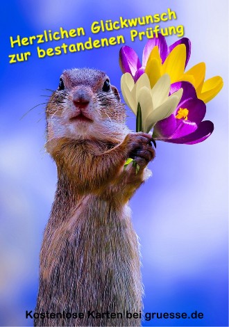 grusskarte-glueckwuensche-pruefung_003