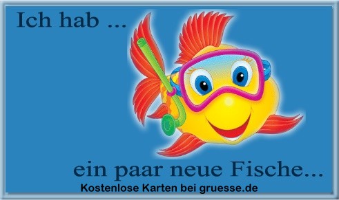 ich-hab-ich-hab-neue-fische_004
