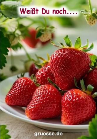 grusskarte-kurz-und-buendig-liebe_013