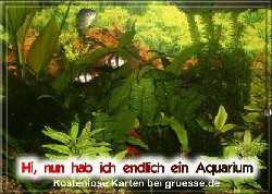grusskarte-diverses-aquarianer-q_002