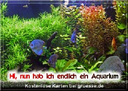 grusskarte-diverses-aquarianer-q_007