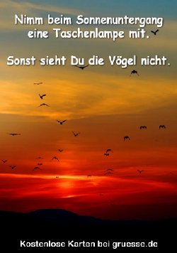 grusskarte-diverses-bloede-sprueche_016