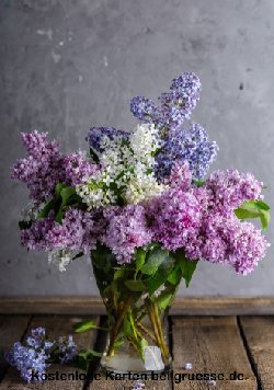 grusskarte-diverses-blumengruesse_004