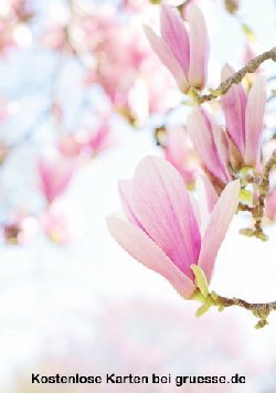 grusskarte-diverses-blumengruesse_011