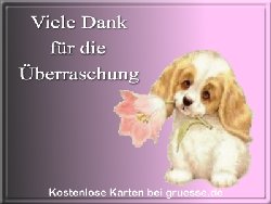 grusskarte-diverses-danke-q_022