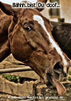 grusskarte-diverses-spass_011
