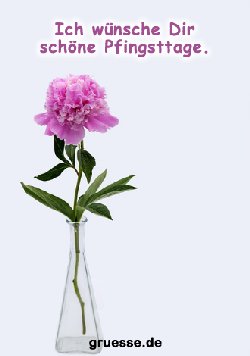 grusskarte-festtage-pfingsten_002