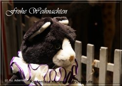 grusskarte-festtage-weihnachten-kinder-q_012