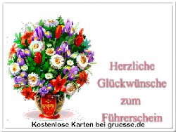 grusskarte-glueckwuensche-fuehrerschein-q_005
