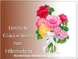 grusskarte-glueckwuensche-fuehrerschein-q_006
