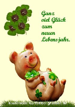 grusskarte-glueckwuensche-geburtstag-allgemein_028