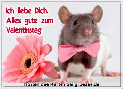 grusskarte-glueckwuensche-valentinstag-allgemein-q_012
