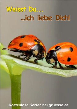 grusskarte-herzensgruesse-liebe_001