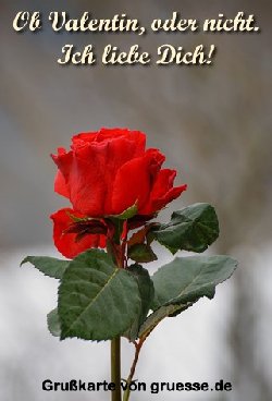 grusskarte-glueckwuensche-valentin-2_026