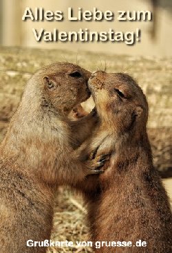 grusskarte-glueckwuensche-valentin-2_029