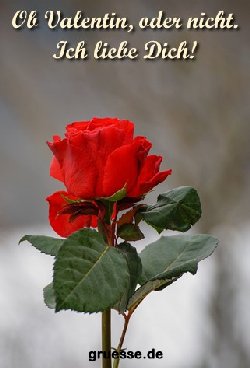 grusskarte-herzensgruesse-valentinstag_026