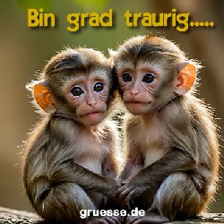 grusskarte-quadratisch-diverses_001