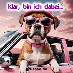 grusskarte-quadratisch-diverses_018