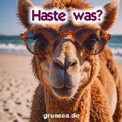 grusskarte-quadratisch-diverses_029