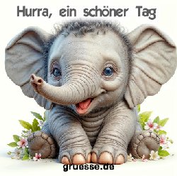 grusskarte-quadratisch-diverses_106