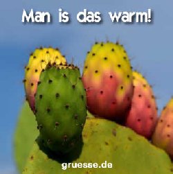 grusskarte-quadratisch-hitze_004