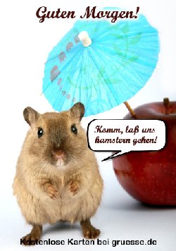 grusskarte-zeiten-guten-morgen_015