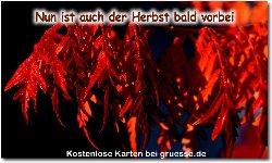 zeiten-jahreszeit-herbst_015