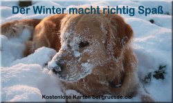 zeiten-jahreszeit-winter_030