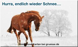 zeiten-jahreszeit-winter_033