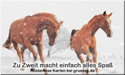 zeiten-jahreszeit-winter_035