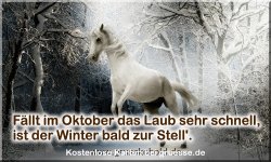zeiten-jahreszeit-winter-zitate_006