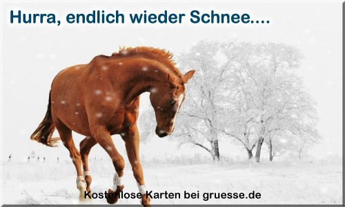 zeiten-jahreszeit-winter_033