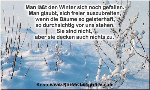 zeiten-jahreszeit-winter-zitate_005