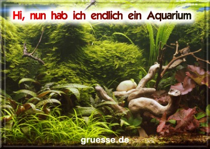 grusskarte-diverses-aquarianer-b_001