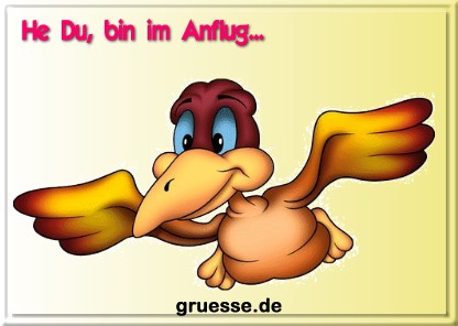 grusskarte-spass-q-gemischt_085