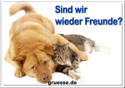 grusskarte-diverses-verzeihung-q_005