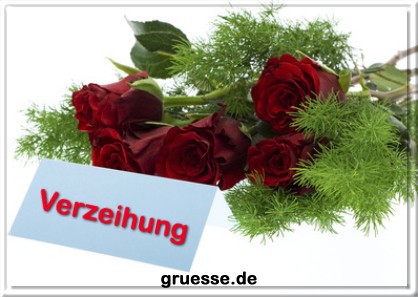 grusskarte-diverses-verzeihung-q_008