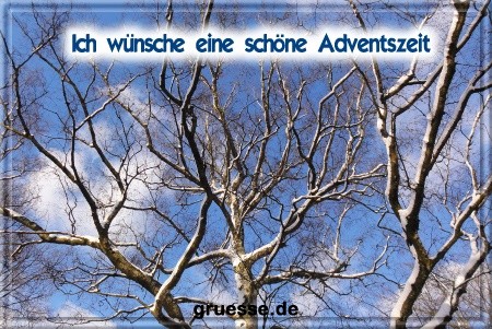 grusskarte-festtage-advent-winterfotos-b_004