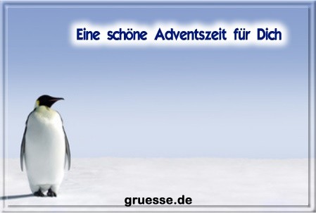 grusskarte-festtage-advent-winterfotos-b_016