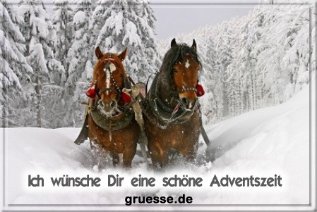 grusskarte-festtage-advent-winterfotos-q_005