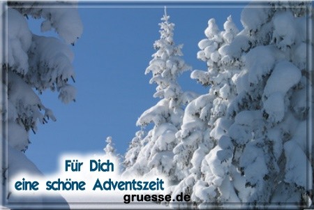 grusskarte-festtage-advent-winterfotos-q_006
