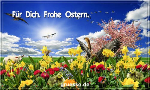 grusskarte-festtage-ostern-standard-2-b_036
