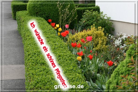 grusskarte-festtage-pfingsten-fotos-b_003