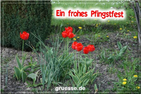 grusskarte-festtage-pfingsten-fotos-b_005