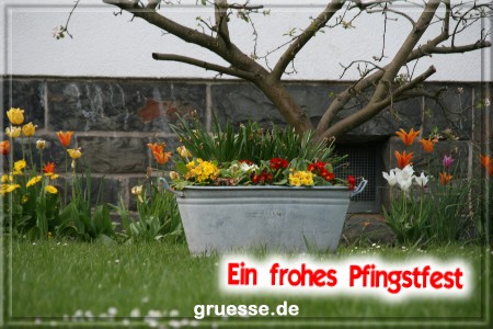 grusskarte-festtage-pfingsten-fotos-b_006