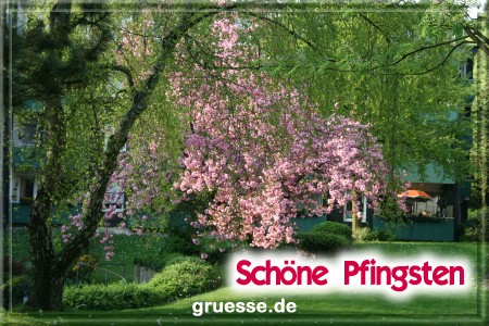 grusskarte-festtage-pfingsten-fotos-b_007